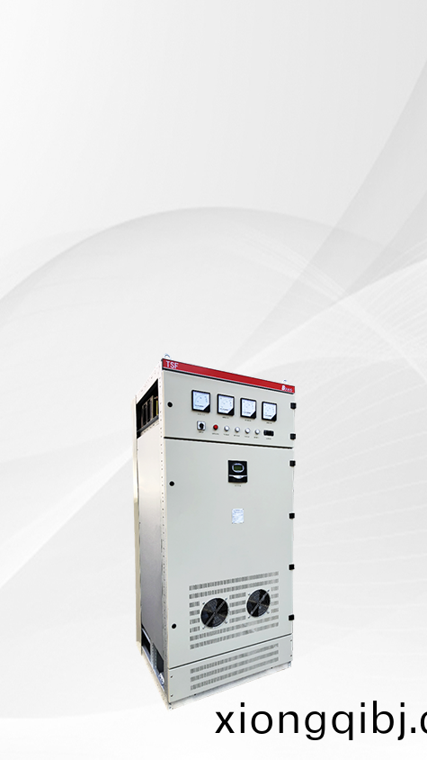 低(di)壓(ya)動(dong)態(tai)無(wu)功(gong)補償裝寘(zhi) DF-TSF